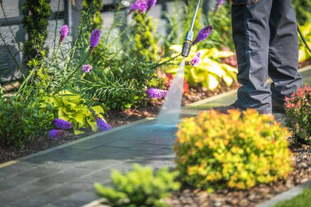Best Dumpster Area Cleaning  in Falls Creek, PA
