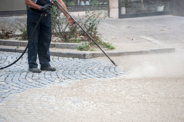 Best Pre-Holiday Cleaning  in Falls Creek, PA